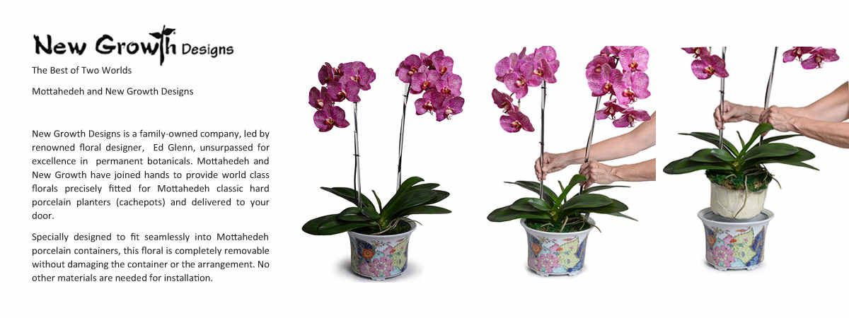 NEW GROWTH DESIGNS