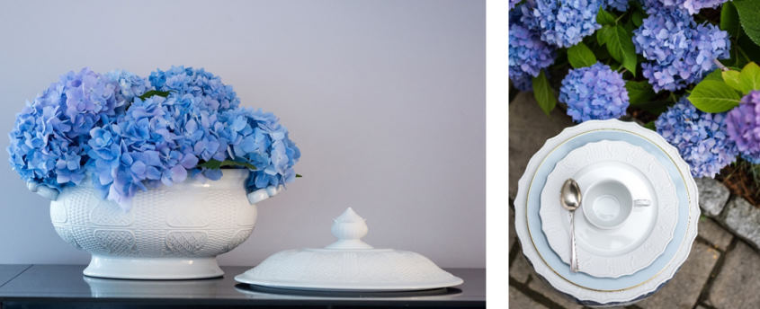 prosperity and hydrangea