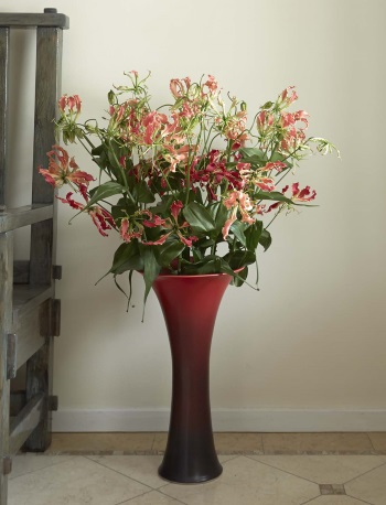 Rookwood Red Vase