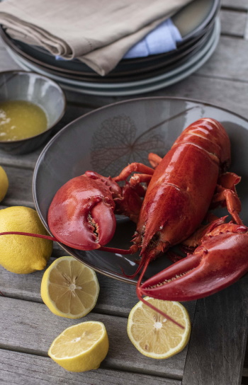 Mottahedeh Milestone LEAF artisanal stoneware